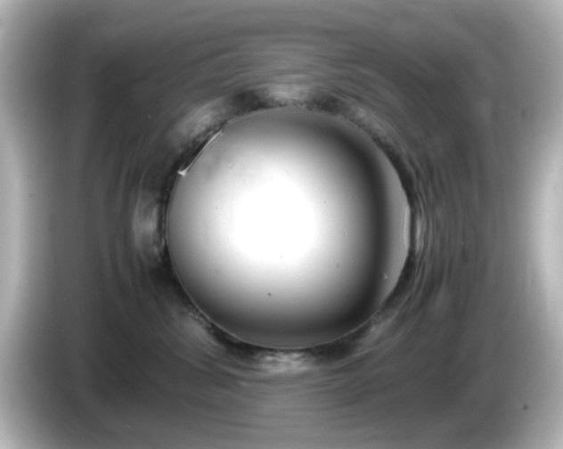 X0000085780428200703161210