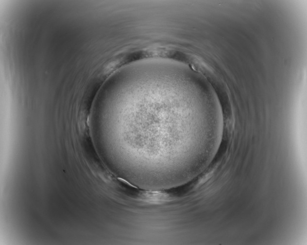 X0000085780429200703161210