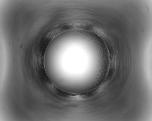 X0000085780430200703161210