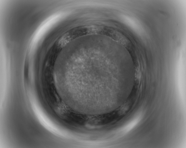 X0000085780431200703161210