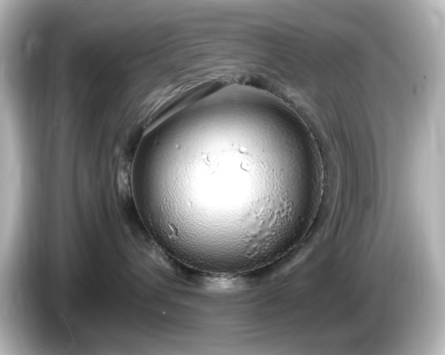 X0000085780432200703161210