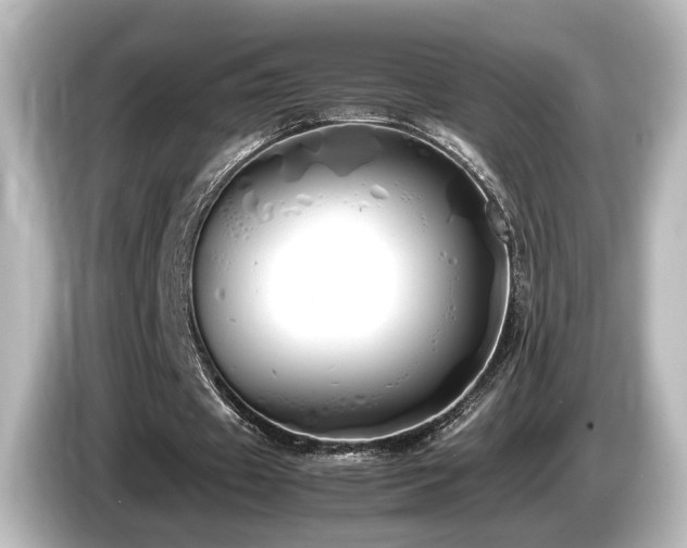 X0000085780433200703161210