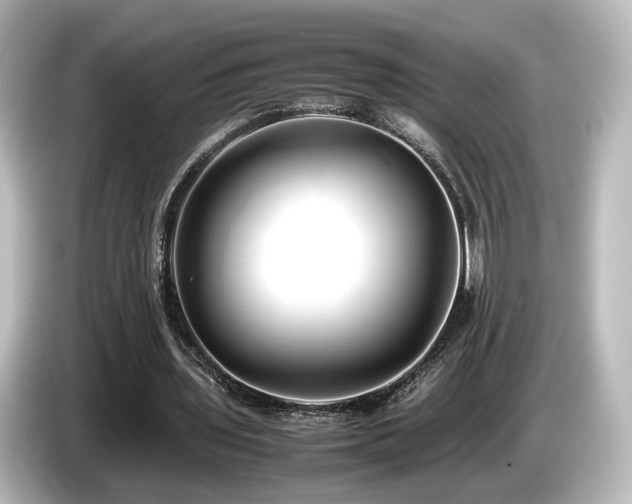 X0000085780435200703161210