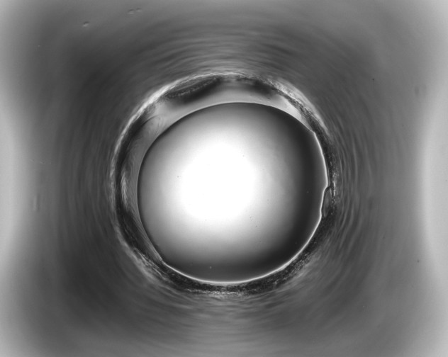 X0000085780436200703161210