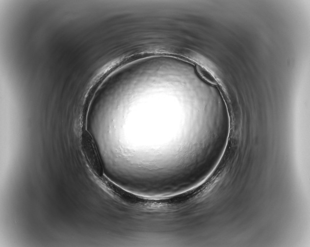 X0000085780437200703161210