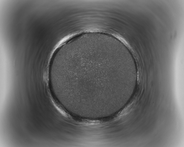 X0000085780438200703161210