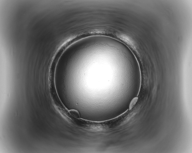 X0000085780439200703161210