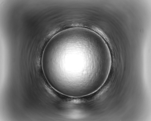 X0000085780441200703161210