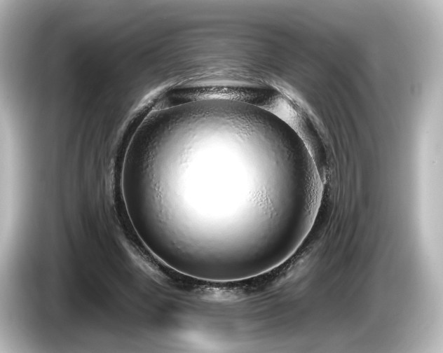 X0000085780442200703161210