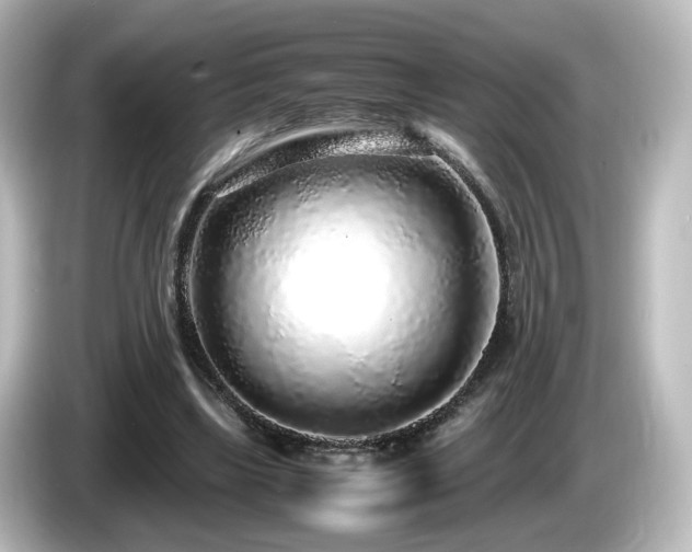 X0000085780443200703161210