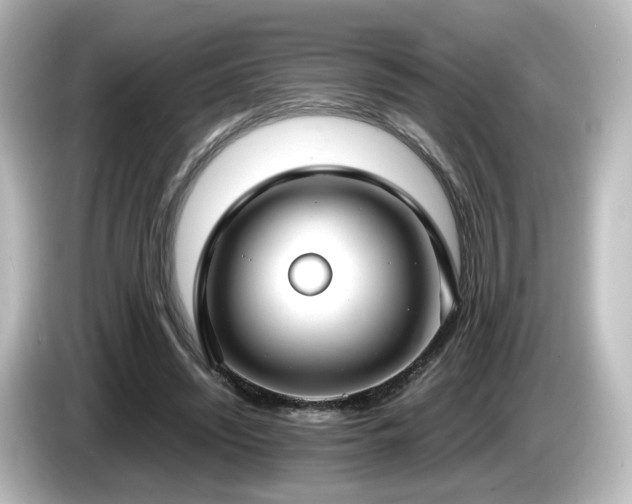 X0000085780444200703161210