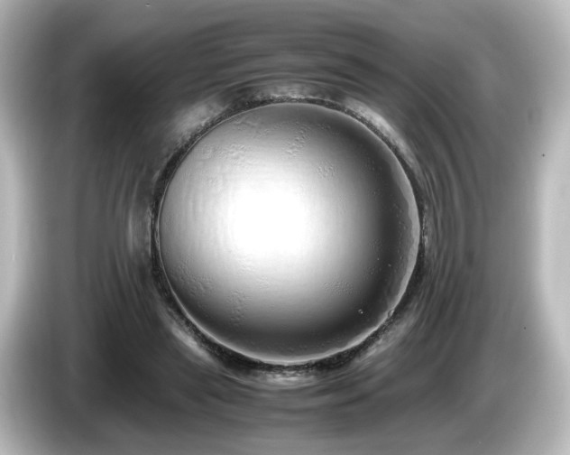 X0000085780445200703161210