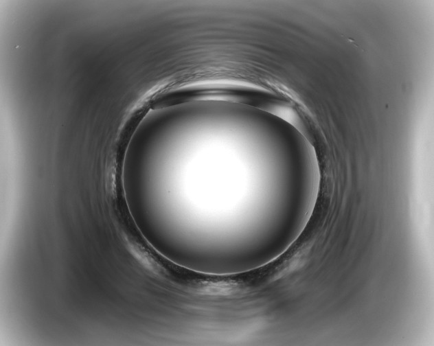 X0000085780446200703161210