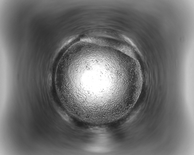 X0000085780447200703161210