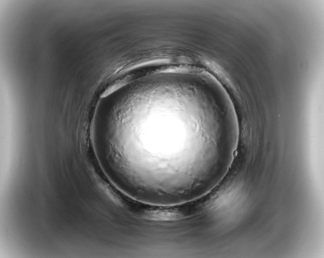 X0000085780449200703161210