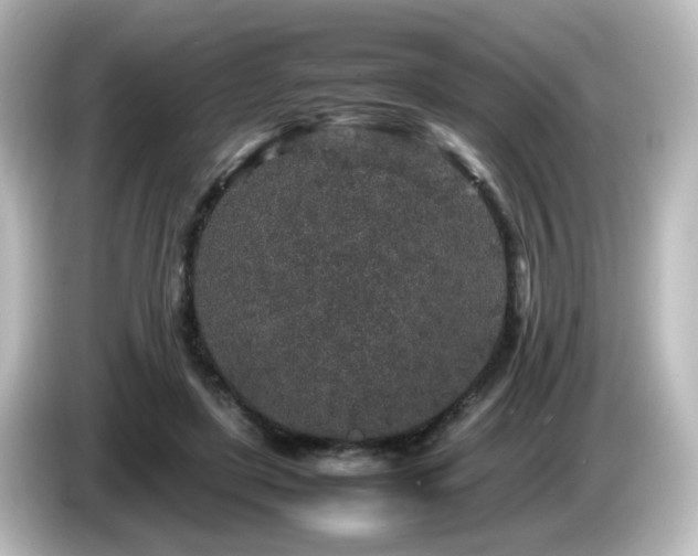 X0000085780451200703161210