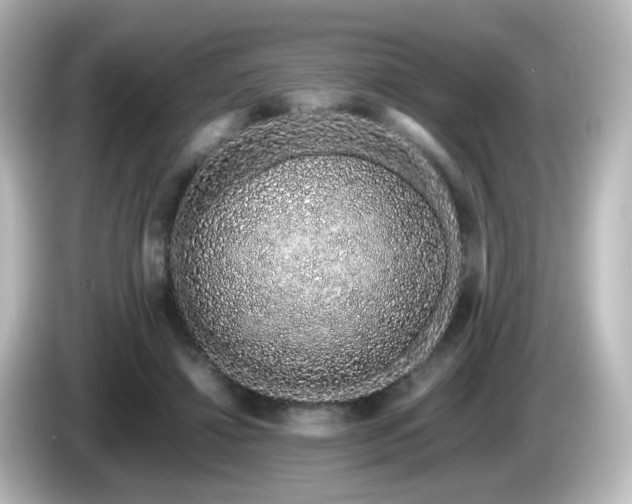 X0000085780452200703161210