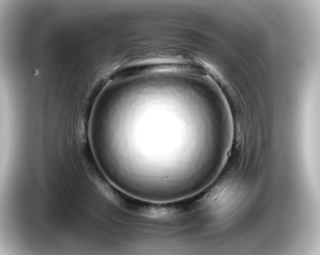 X0000085780453200703161210