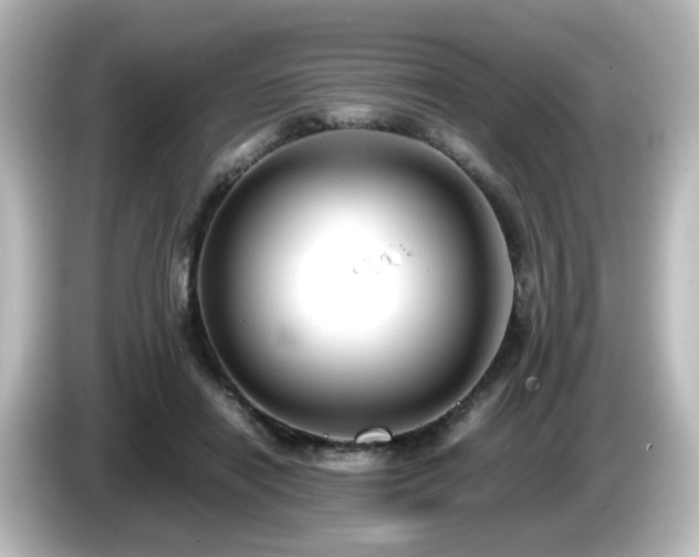 X0000085780454200703161210