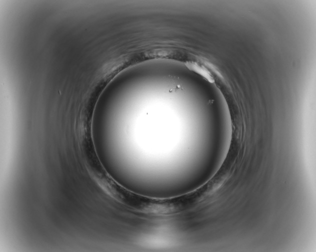 X0000085780455200703161210