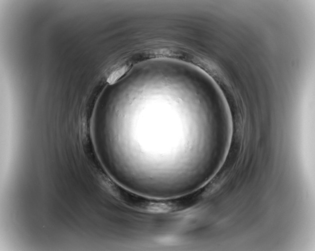 X0000085780457200703161210