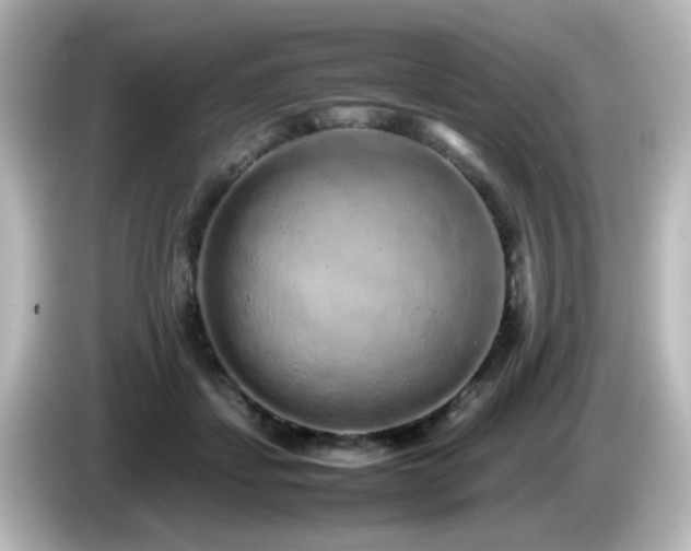 X0000085780459200703161210