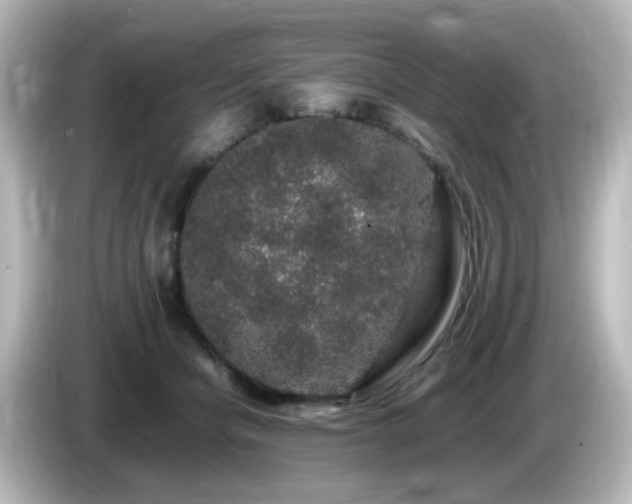 X0000085780462200703161210