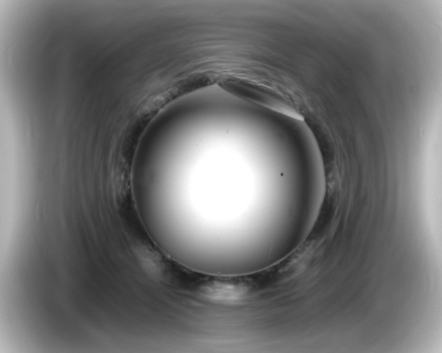 X0000085780464200703161210