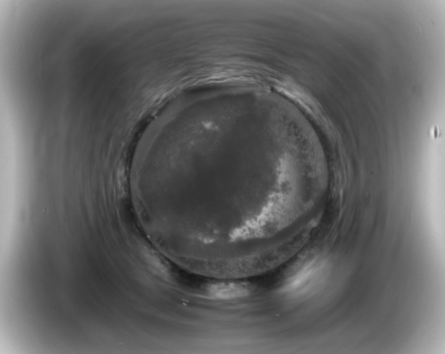 X0000085780465200703161210