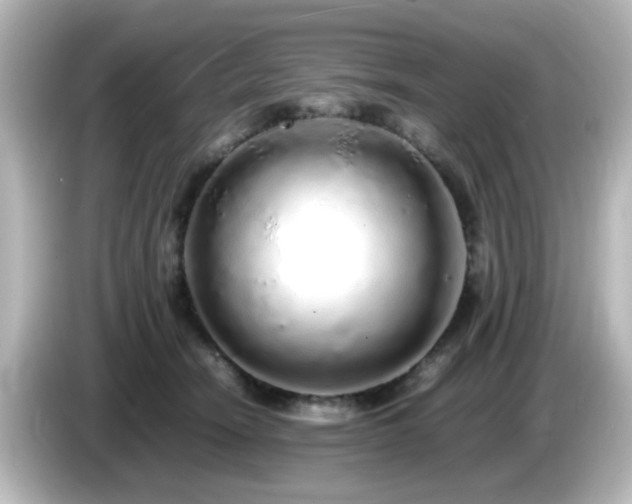 X0000085780466200703161210