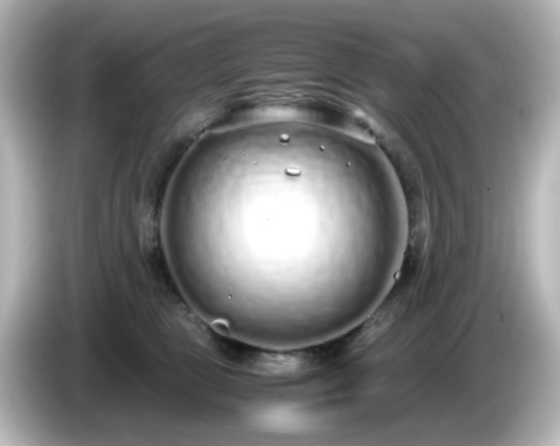 X0000085780469200703161210