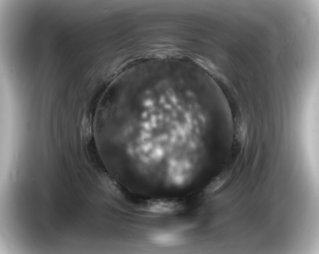 X0000085780471200703161210