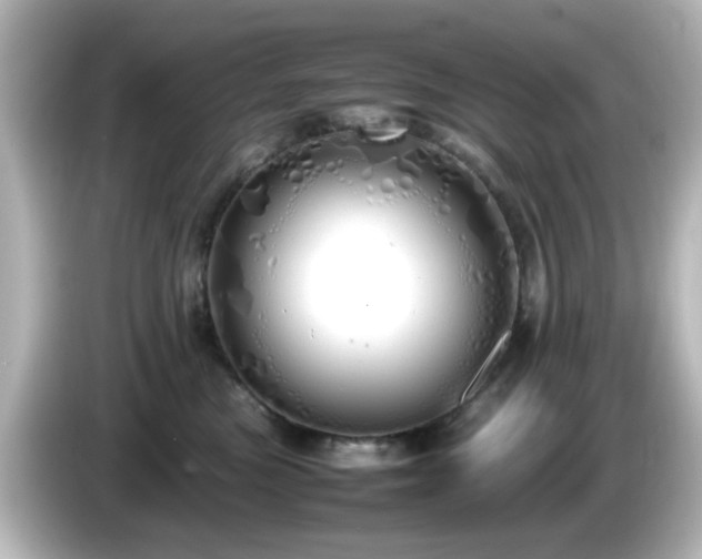 X0000085780473200703161210