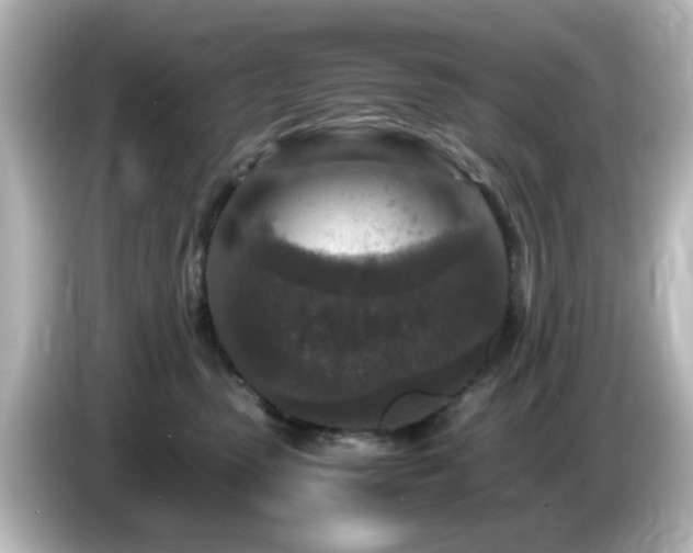 X0000085780475200703161210