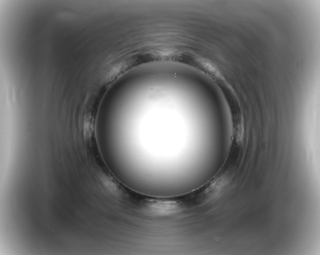 X0000085780476200703161210