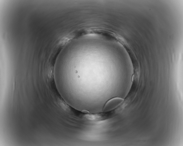 X0000085780477200703161210