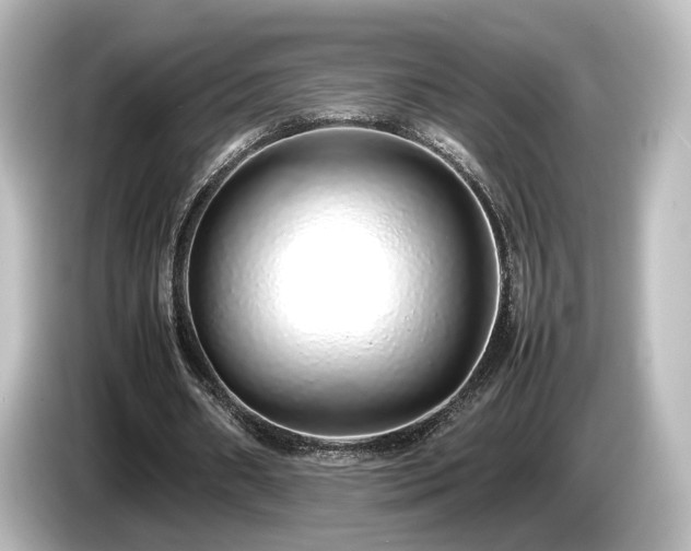 X0000085780482200703161210