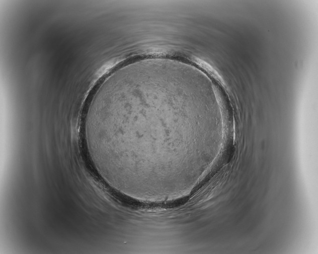 X0000085780483200703161210