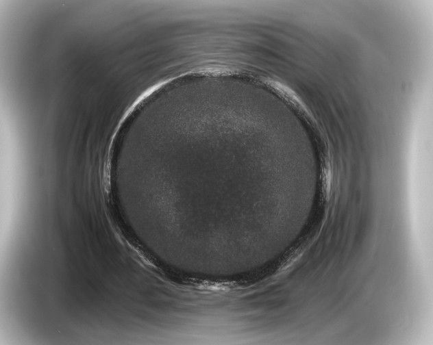 X0000085780484200703161210