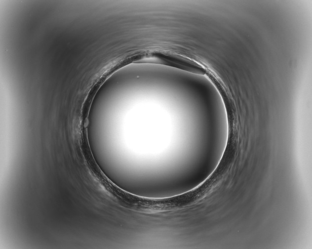 X0000085780485200703161210