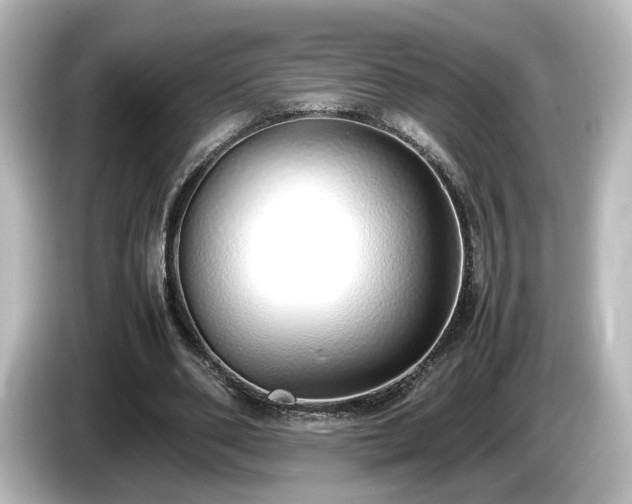 X0000085780486200703161210