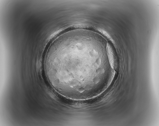 X0000085780487200703161210