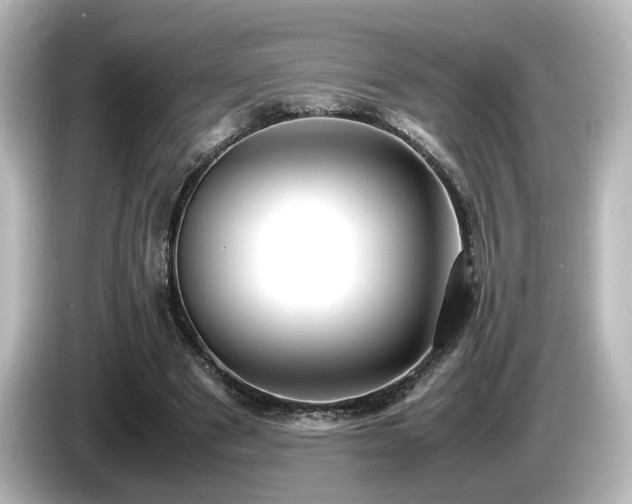 X0000085780489200703161210