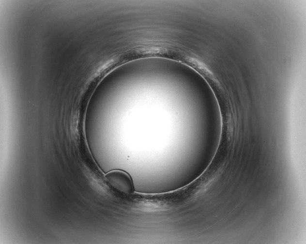 X0000085780490200703161210