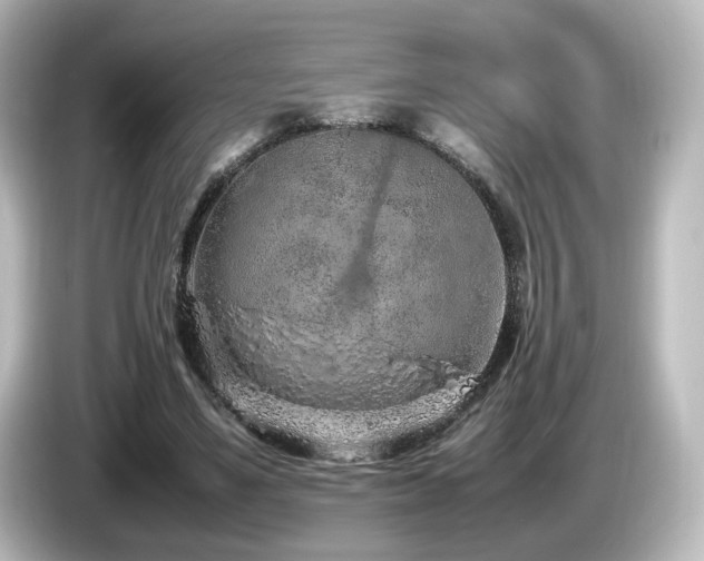 X0000085780491200703161210