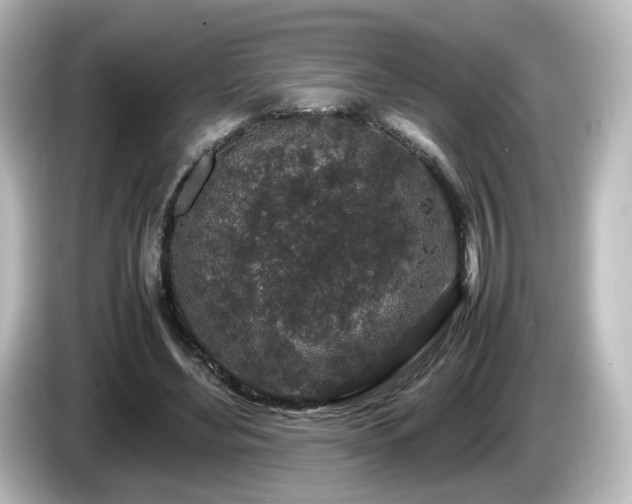 X0000085780492200703161210