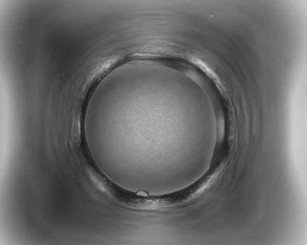 X0000085780493200703161210