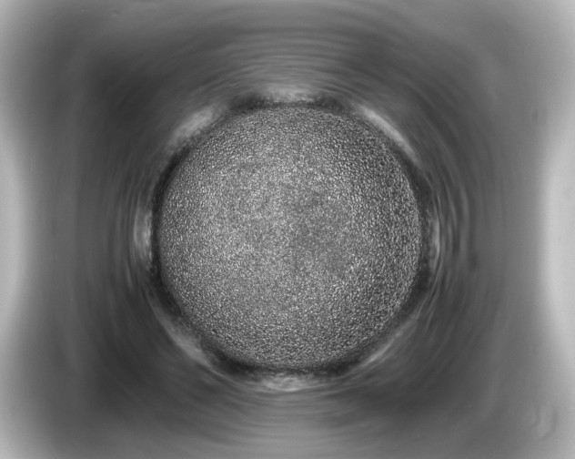 X0000085780494200703161210