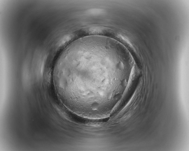 X0000085780495200703161210