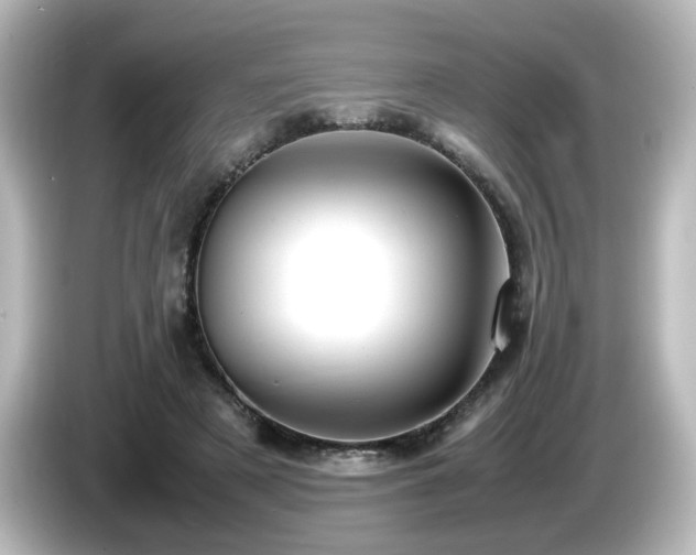 X0000085780497200703161209